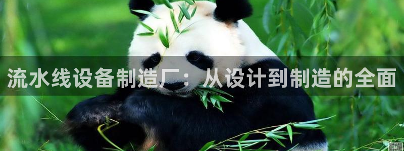 彩神iv真的能赚钱吗:流水线设备制造厂:从设计到制造的全面 彩神iv真的能赚钱吗:流水线设备制造厂:从设计到制造的全面